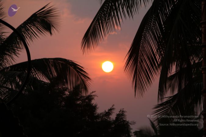 20130409 Photo 1004 1LKdwnEFHQ85REa1zV7qwMp4eNpxEB91l.JPG