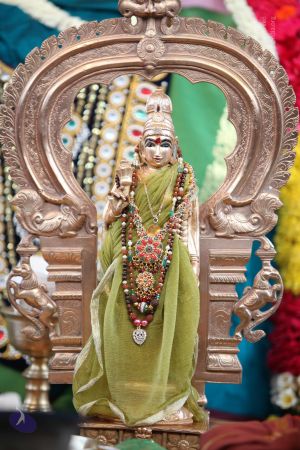 20130409 Photo 1019 1SK364t9TXCykNksDf QxjxddBvbHO7SR.JPG