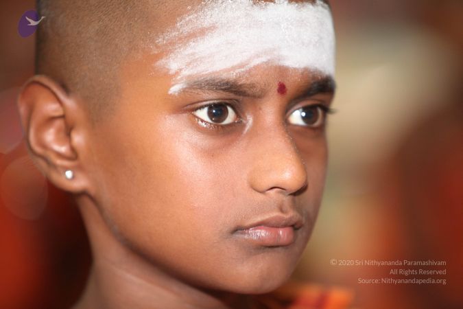 20130410 Photo 1088 1aZychjHng3Z8RmDjuy07v5CXiuzfbDJQ.JPG