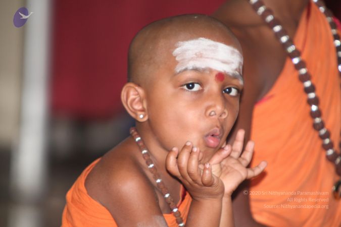 20130410 Photo 1101 1DLHf-pNAHDrQfAvAMJA24GaXUvC7OTPV.JPG