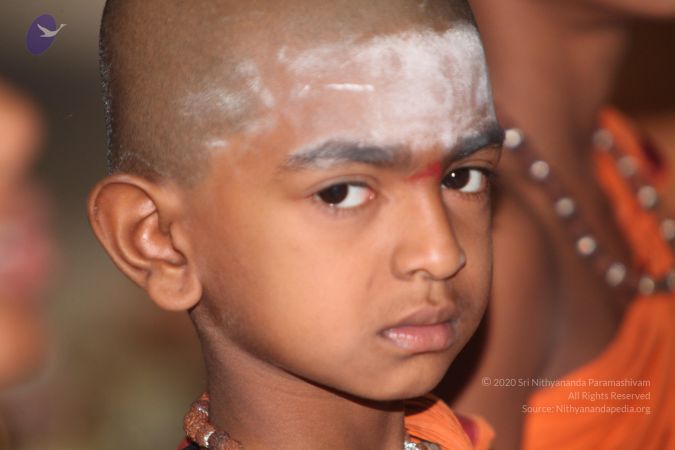 20130410 Photo 1108 11PxQerYZHqTPW4XstEeGTcm3dgMpNKYE.JPG