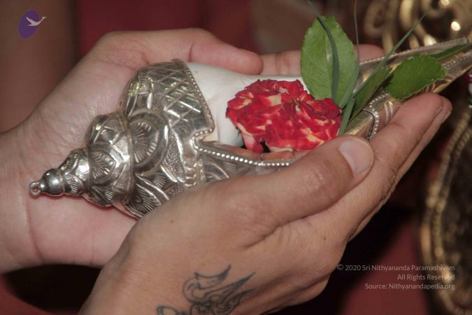 20130410 Photo 1137 1YLlGIJ3T6v-z7sbPOQNBnoZgfqzrbpU3.JPG