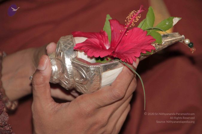 20130412 Photo 1004 1aEJwDvnQCZDPQ2hZK3E1ey6w7ZM9AUg9.JPG