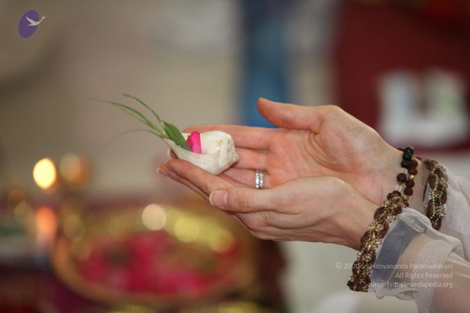 20130412 Photo 1030 1U4hkt8JGBZv9D8CPlFQN9Xv43xobMm8F.JPG