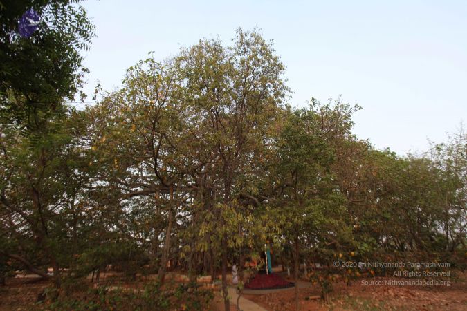 20130412 Photo 1058 1JJS1UeyoF784-Lix81u MT-q1oRciOwL.JPG