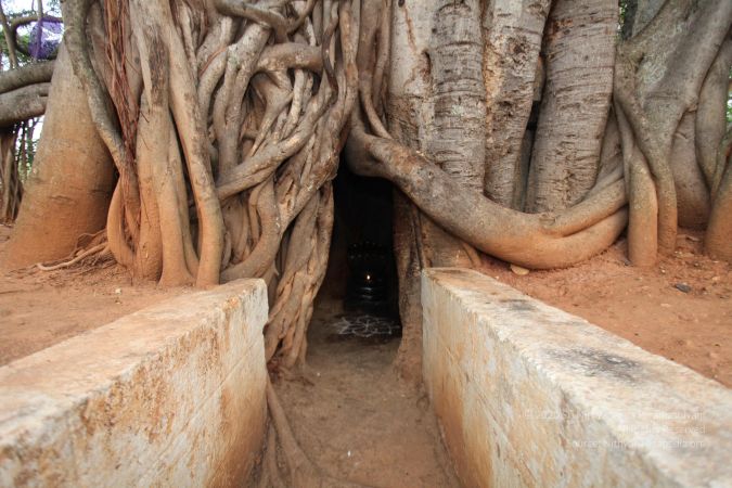 20130412 Photo 1063 1xABcCQop-Fnv8KQ-pBUkyCTKrh4vXspt.JPG