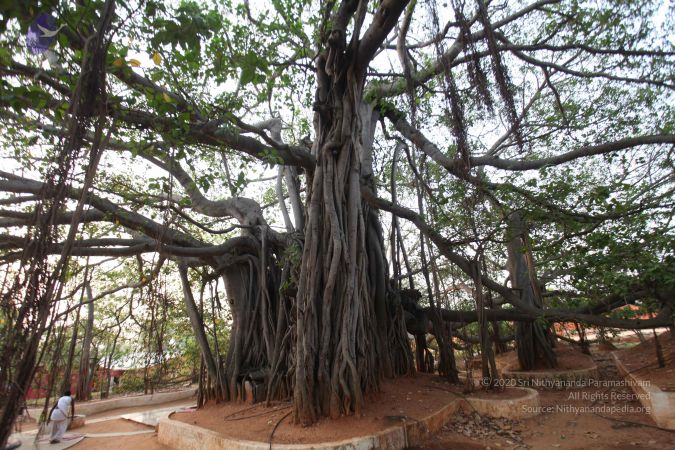 20130412 Photo 1067 1i41C1HUojsljJL7oJsHW4EHLLDOMMo2-.JPG