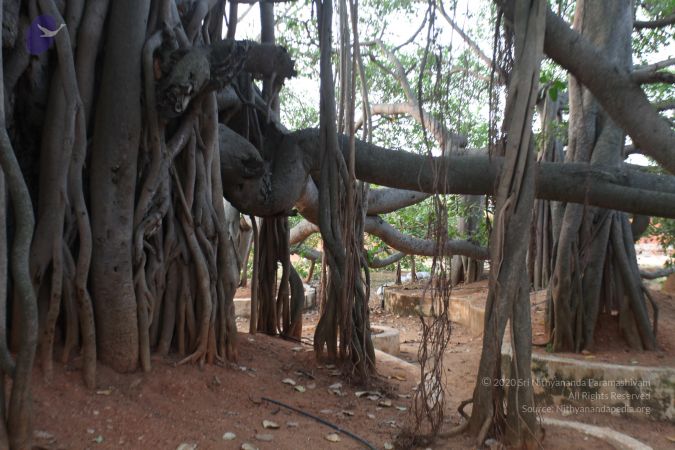 20130412 Photo 1068 18Kfz7NgYIpZ-3-zVaFux8AuPfgA5GYk4.JPG