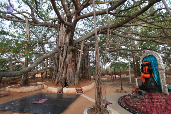 20130412 Photo 1071 1 ziURfn2ZBTogVKwFqNeucb6A2185Cgk.JPG