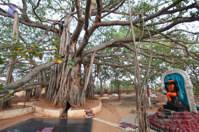 20130412 Photo 1072 1R5Y6 tUiB3jS6-g7PpWlrlK1oHvdrJbr.JPG