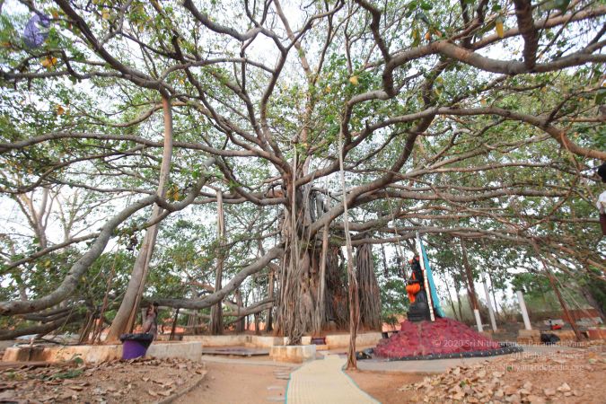 20130412 Photo 1077 1YlBnSSvM0PY WqY6jNyRbtOJp7yjsGBi.JPG