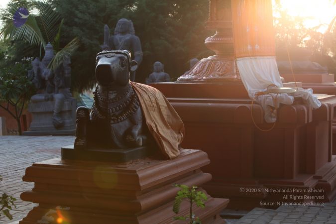 20130414 Photo 1085 1U2y 9jWo6p39cQeCZqyAk8TE gmPGVDW.JPG