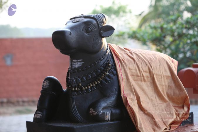 20130414 Photo 1086 1toZZVZW7t1mPqYLVppVSF71uA7OY9OpG.JPG