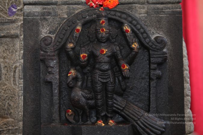 20130414 Photo 1092 1RhaOkF8IesxSzVF3cMj9wIBUdCbK4DPZ.JPG