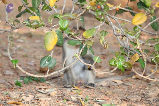 20130414 Photo 1100 1M3vLgZFKE5wWCqHwQmFdd3FSym36uy4A.JPG