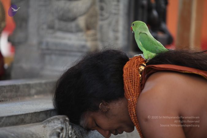 20130414 Photo 1110 1Js8vdApQO8G53l6UoRbORjsJYdbsU0In.JPG