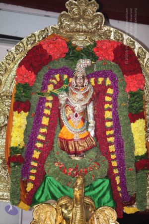 20130416 Photo 1065 189AGm1eSSpfICxxShqM9ZXj-1vcqB3Eb.JPG