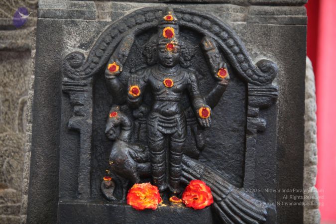 20130417 Photo 1107 1RdOzw2qs2FnItquL1pUx5AMWWF99j0og.JPG