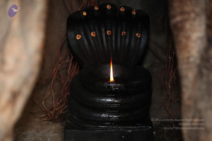 20130417 Photo 1116 1CbsnfiebOiuN5NTkCIEInHoJtUUtKdPd.JPG