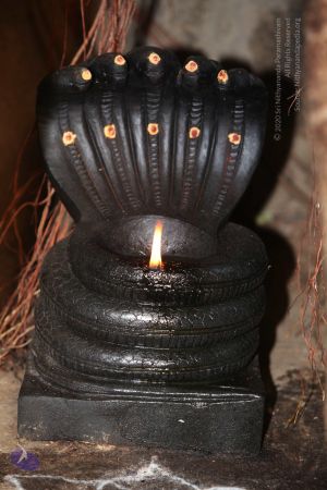 20130417 Photo 1118 1xHiOuIl84r5kXR8TG1pwPjDThDH9idcG.JPG