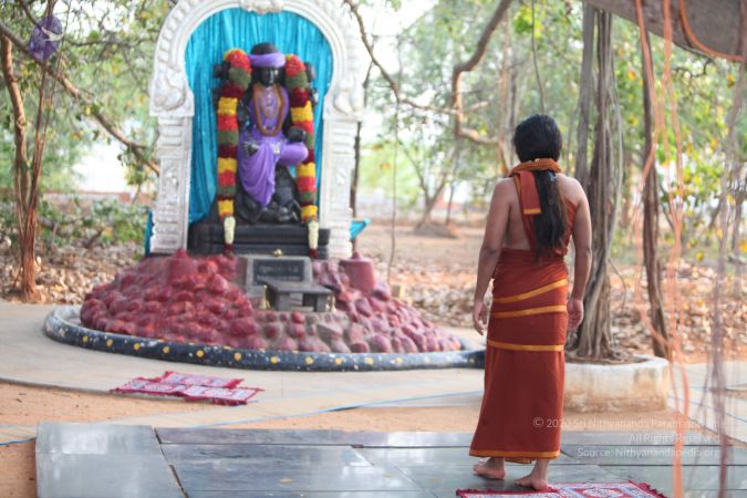 20130417 Photo 1142 1d4amOSV8bWiS8WamRbk2mp2yM-hvTYck.JPG