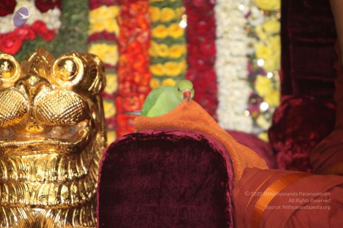 20130417 Photo 1218 1yvpzQVbffVMId57QWOP-PhGJTEHvsoF5.JPG