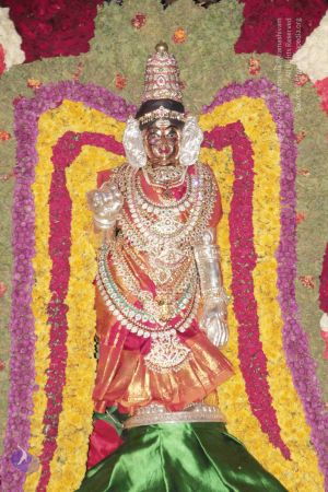 20130421 6224 CMP WM.jpg