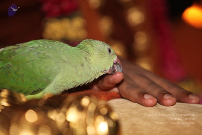 20130422 Photo 1066 1v-xwX34jEs GKmWhmXDY FXkOQAWJdiN.JPG