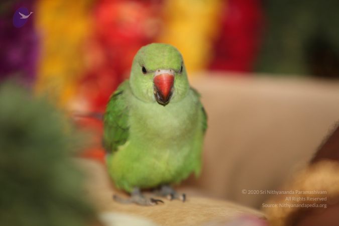 20130423 Photo 1064 1j-JDku-3yp40B5fpOhpJ0P8pOG -BtJc.JPG