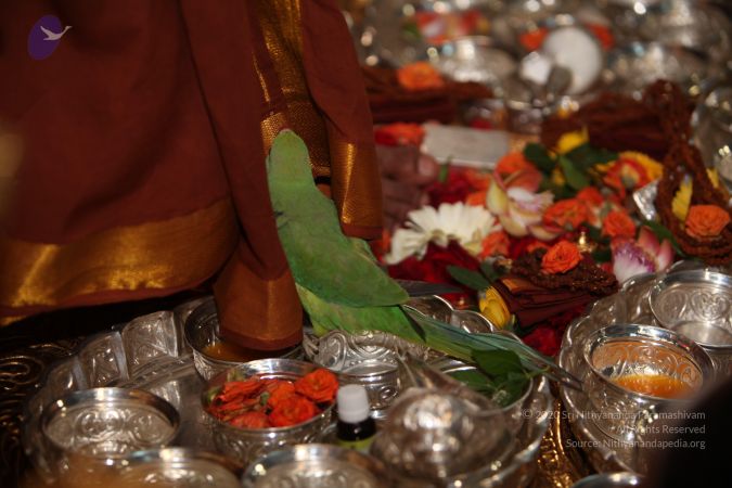 20130423 Photo 1071 1gMRwTJg-7ajD-Ot4pRKGzeJGNTv8j2ix.JPG