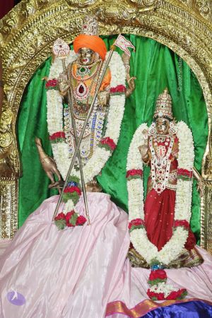 20130423 Photo 1079 1E1eLKQD4 641PdR8F7gXtvKkIc223ohF.JPG