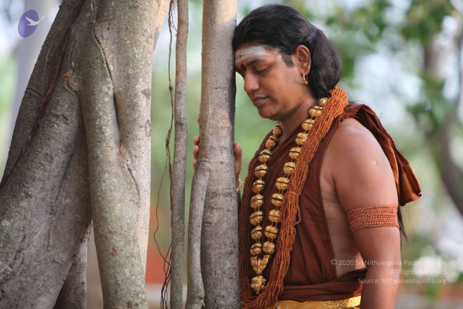 20130423 Photo 1112 1Q4Ox 6mf-z1JN8vyMd1JEXT7bbSnlTJH.JPG