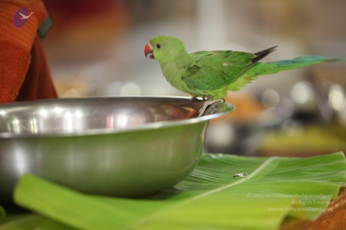 20130423 Photo 1170 1Y9X3g6cpZycoQYlolC3d6Se CuDT0si3.JPG