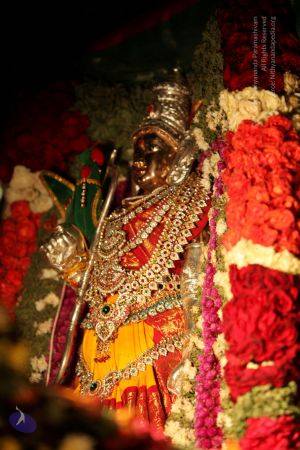 20130423 Photo 1174 12ap71Fg5KRC7ERGZkSFXqMJET1iCJYiB.JPG