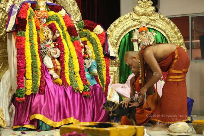 20130423 Photo 1563 1SFuAsvgx326TacNeqY0ZvyJyNvGRHBO3.JPG