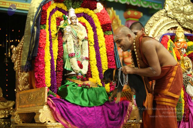 20130423 Photo 1565 1a443DikicP8NZOvknzO7M RD6FNIIHmA.JPG