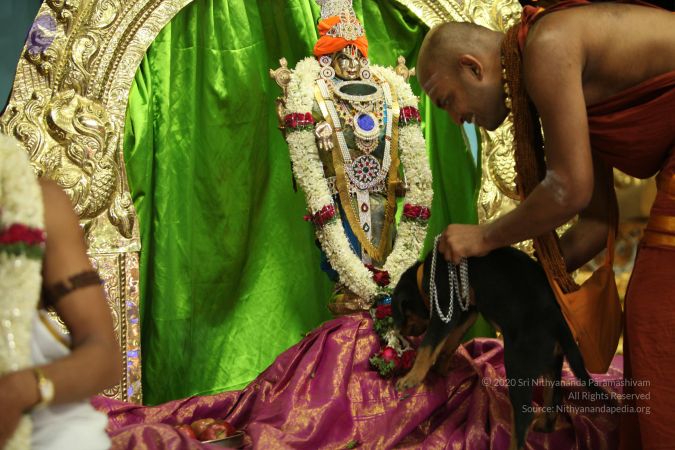 20130423 Photo 1566 1utKXAKYlxNVexsBb4VEM3W794yE1KhyN.JPG