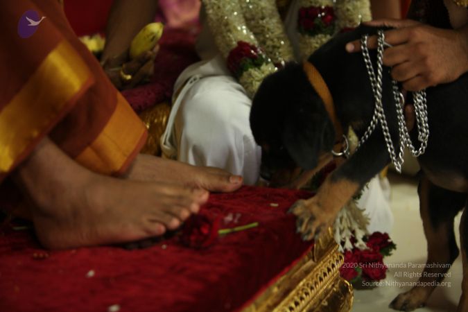 20130423 Photo 1567 1RQ-2BUjmGTBfywV2k6uNqAFwwCzm8QkA.JPG