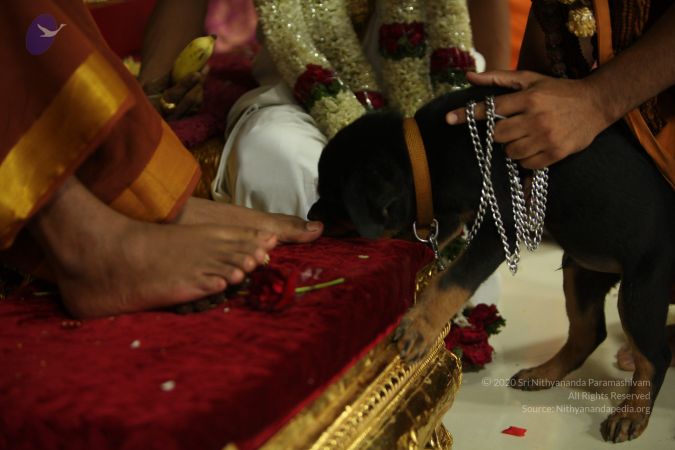 20130423 Photo 1568 1PgKFvyC3b-wcgQVBPpVcMq4YZeKcUjJ1.JPG