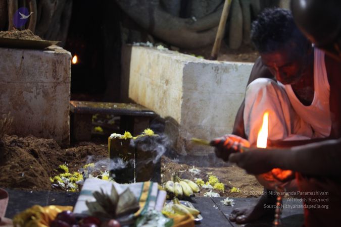 20130424 Photo 1187 1fxA-aXcl-kv9GOGKrq7UNhK6bGTupgas.JPG