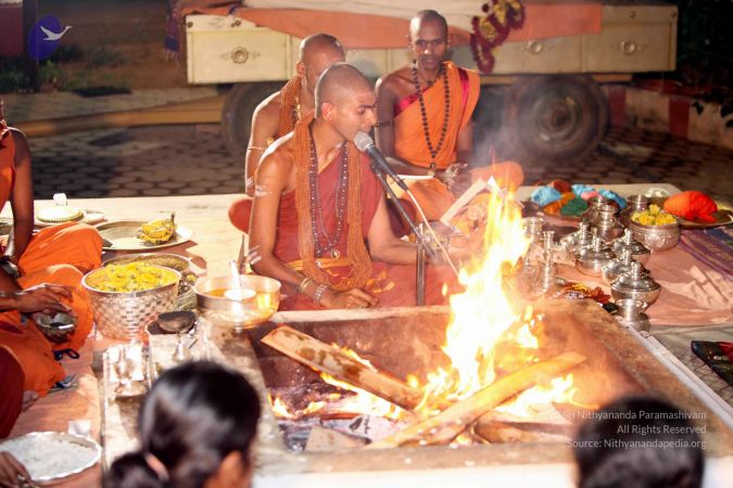 20130429 IMG 0075 CMP WM.jpg