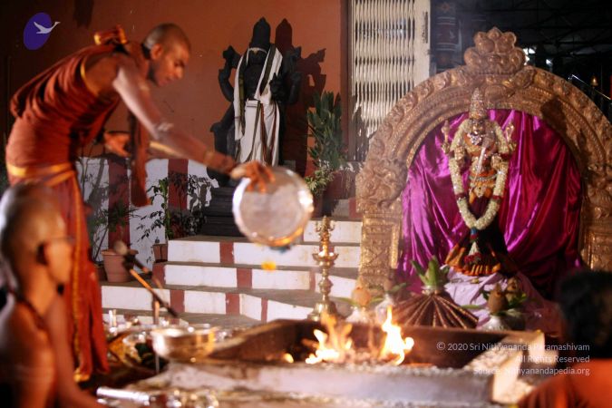 20130429 IMG 0108 CMP WM.jpg