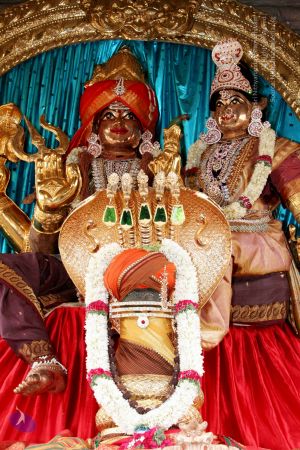 20130429 IMG 9856 CMP WM.jpg