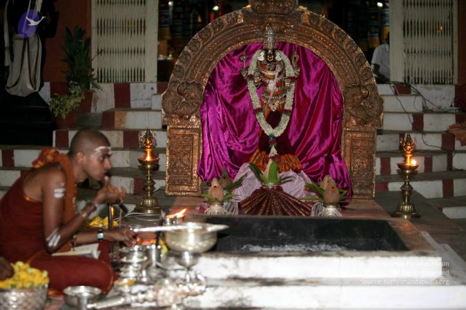 20130429 IMG 9966 CMP WM.jpg