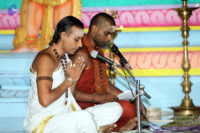 20130430 IMG 0135 CMP WM.jpg