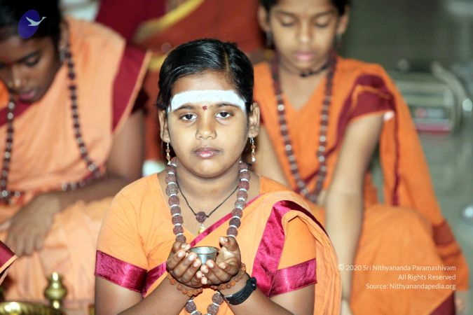 20130430 IMG 0137 CMP WM.jpg