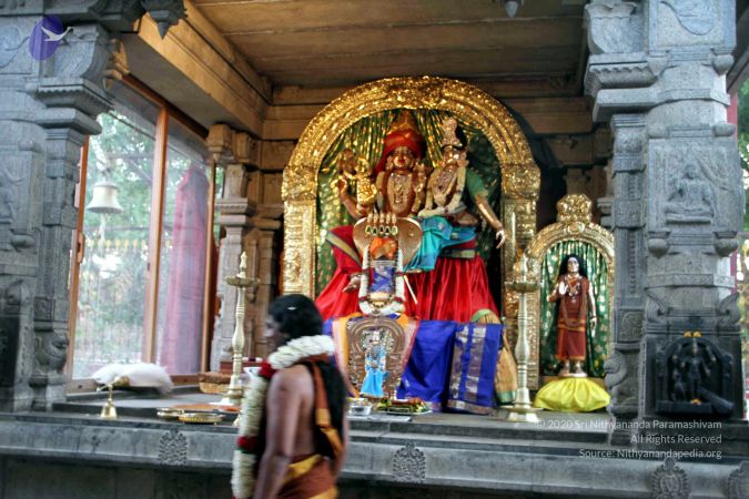 20130430 IMG 9552 CMP WM.jpg