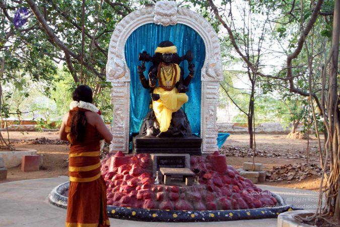 20130430 IMG 9559 CMP WM.jpg