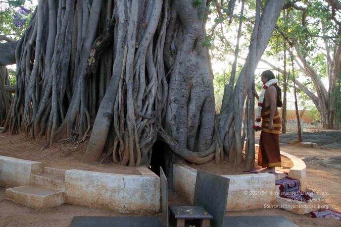 20130430 IMG 9560 CMP WM.jpg