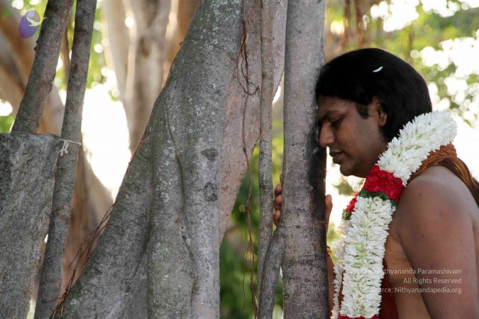 20130430 IMG 9561 CMP WM.jpg